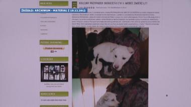 Odpracuje społecznie karę za brutalność wobec zwierząt