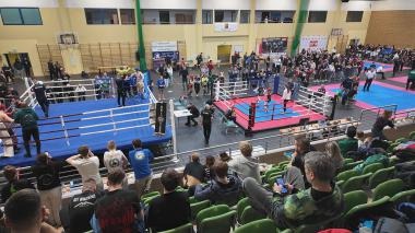 Kicboxing ponownie królował w hali w Bolszewie