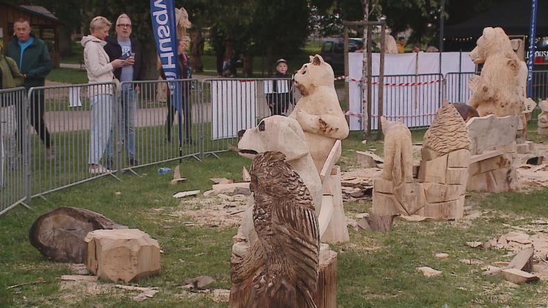 Festiwal Rzeźby na Pomorzu po raz drugi w Bolszewie