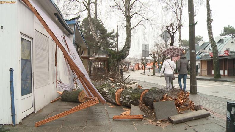 Spustoszenie po wichurach