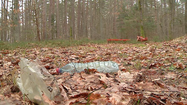 Problem śmieci w lasach wciąż powraca