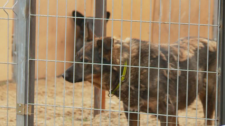 Cieplej i wygodniej w Dąbrówce