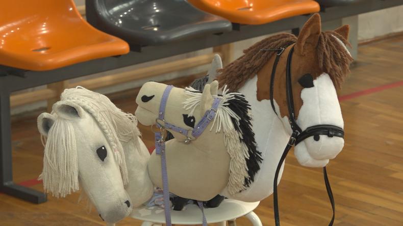 Hobby Horse coraz bardziej populare