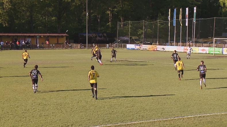 Karygodny błąd i porażka Gryfa