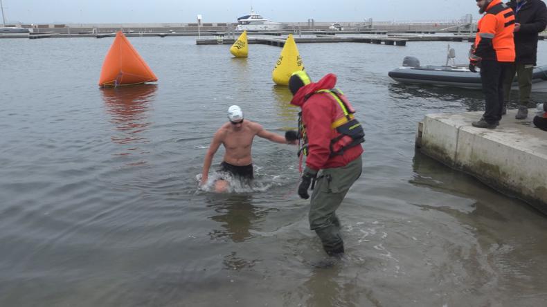 Lodowe Lwy Morskie pływały w Pucku