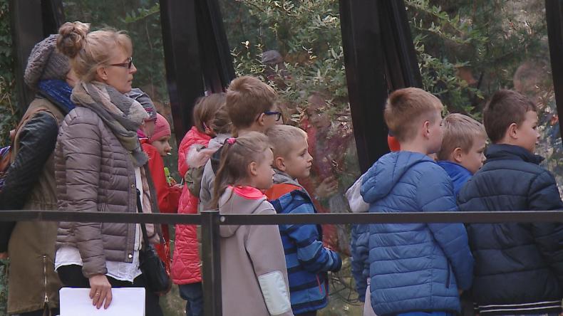 Dzieci poznają florę i faunę wejherowskiego parku