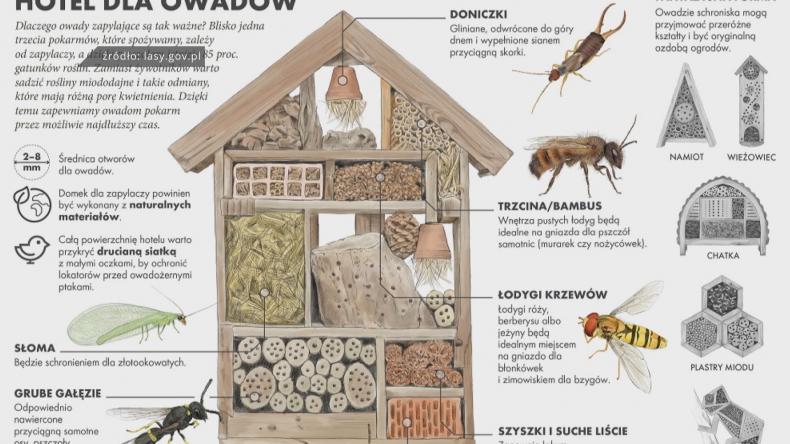 Stwórz nietypowy hotel i zgarnij nagrody
