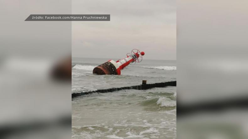 Nietypowy widok na plaży w Chałupach