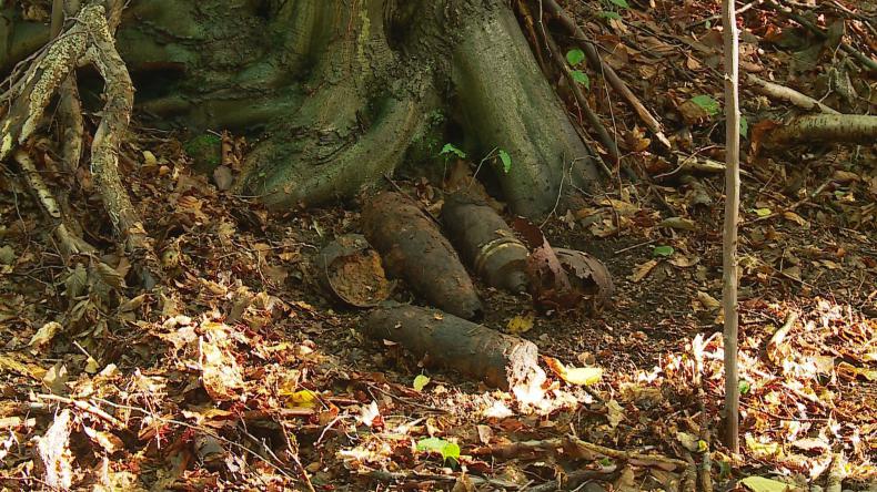 Grzybiarz znalazł w lesie niewybuchy