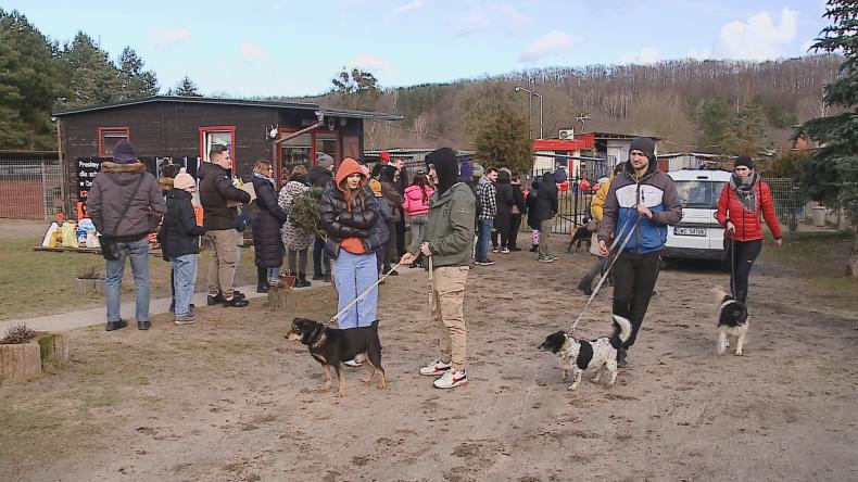 Walentynkowy Spacer Przyjaźni w Dąbrówce