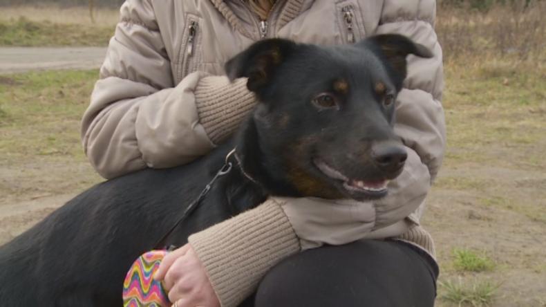 Pomóż mi znaleźć dom