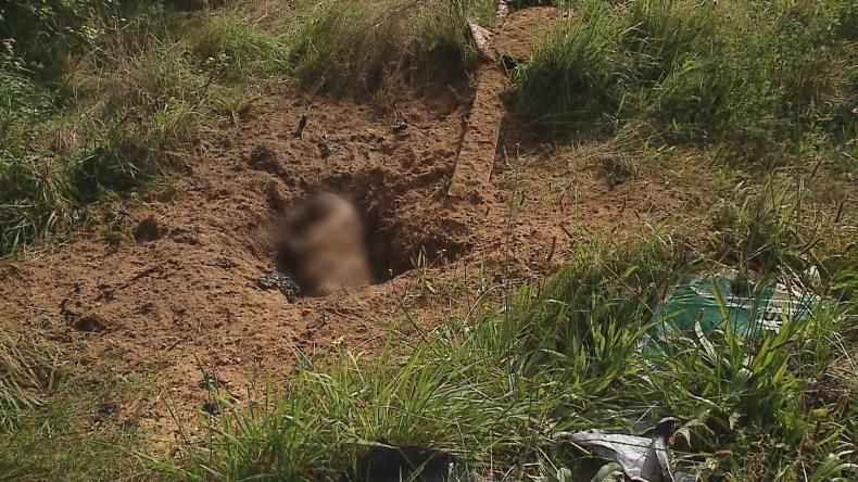 Pies zakopany w centrum miasta. Policja bada sprawę