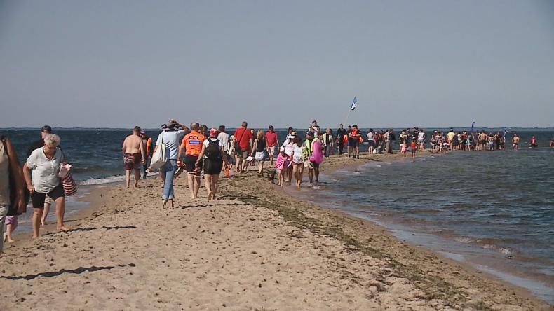 Marsz Śledzia z rekordem Polski