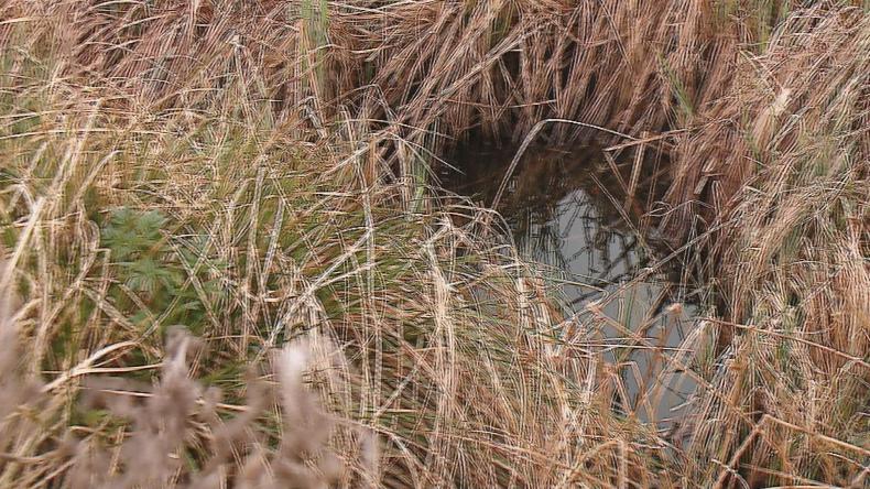 Kłopotliwa woda w jeziorze Orle