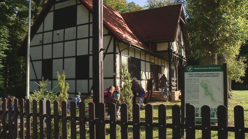 Edukacyjno-artystyczne warsztaty o pszczołach