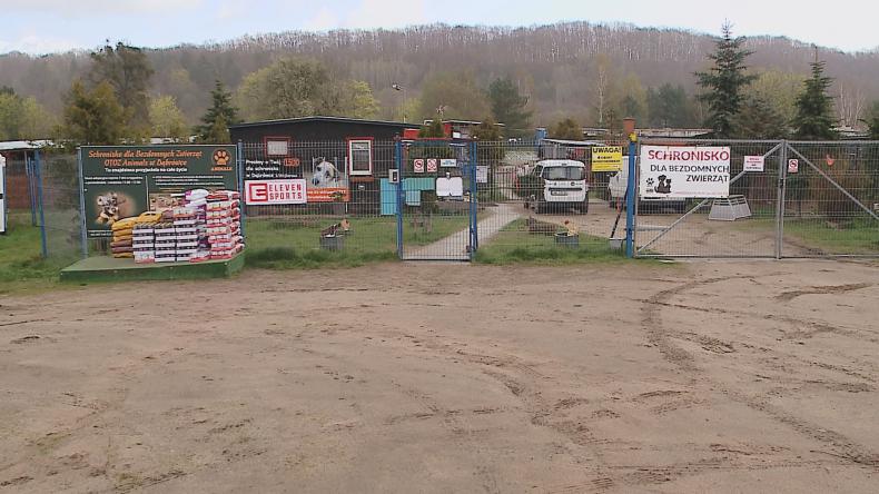 Karma trafiła do Schroniska w Dąbrówce