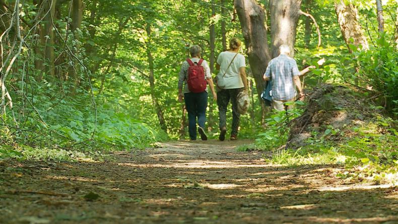 Zadbaj o swoje bezpieczeństwo w lesie