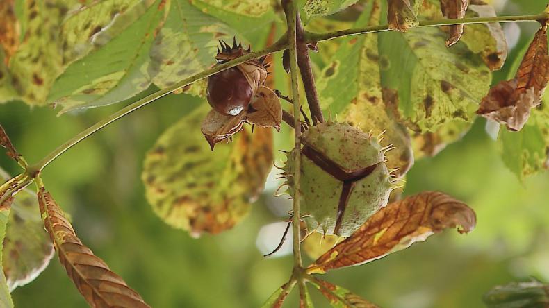 Żegnamy lato, witamy jesień