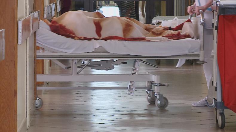Podejmowane działania dają nadzieje w walce z koronawirusem