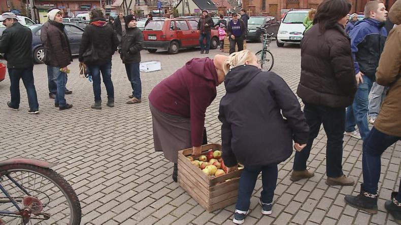 Jabłka niezgody w Bolszewie