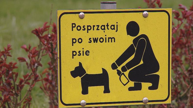 Twój pies, ich problem