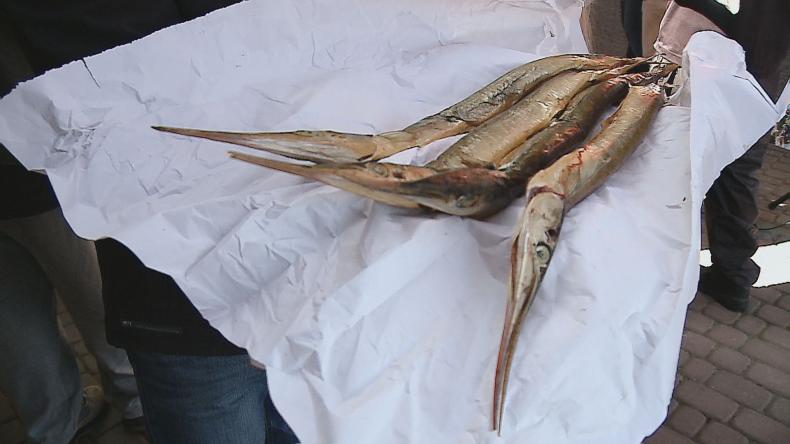 Wędkarze z południa najlepsi podczas Belonady 2015